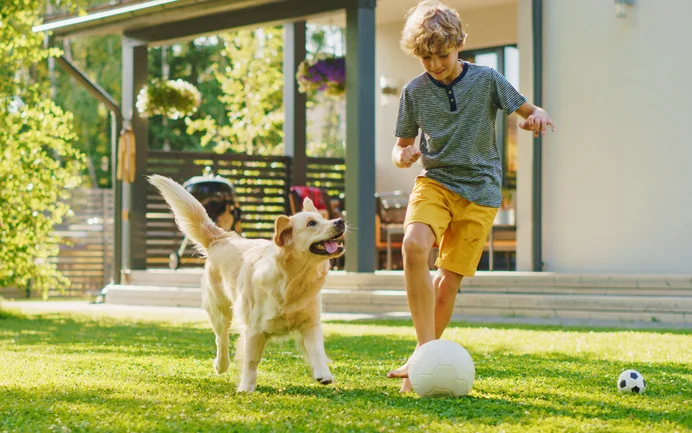 Junger Junge spielt mit Golden Retriever im Garten vor moderner Terrasse; idealer Lebensraum für Heimwerken mit Baumit.