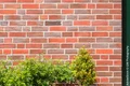 Ziegelwand mit grünem Busch, ideal zur Fassadengestaltung mit Baumaterialien von Baumit.