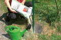 Garten- und Landschaftsbaubeton Fix wird ohne Anmischwasser in das Loch geschüttet.