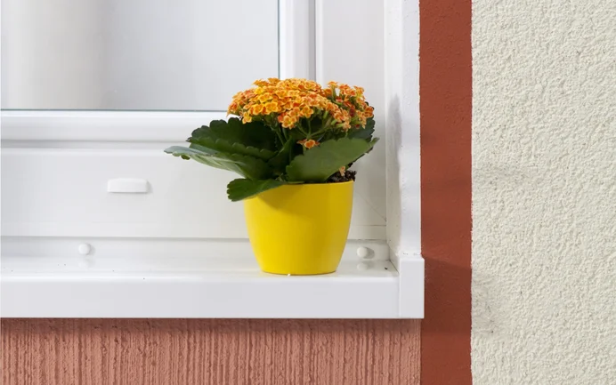Blumentopf auf Fensterbank vor bunter Putzfassade als Beispiel für Wohnraumgestaltung mit Baumit-Farben.